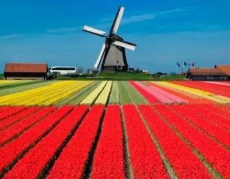 De Weideblom 아파트 Schermerhorn