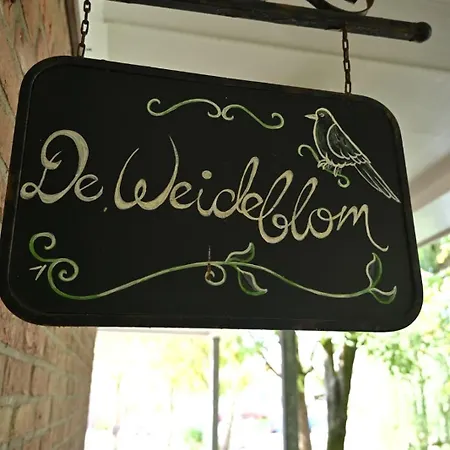 公寓 De Weideblom Schermerhorn