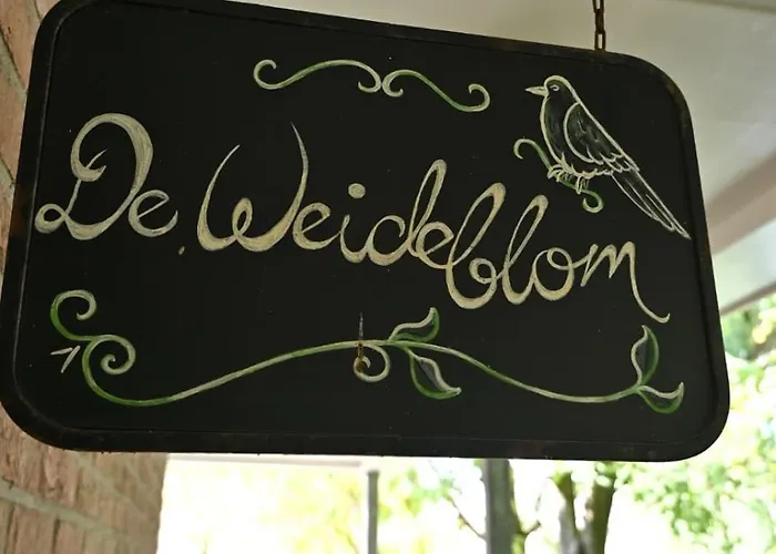 Apartamento De Weideblom Schermerhorn