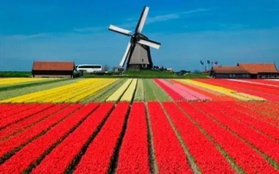 De Weideblom Apartamento Schermerhorn